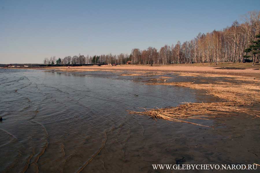 Пляж посёлка Глебычево